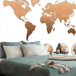 Samolepící tapeta globusy s mapou světa - 300x200 cm