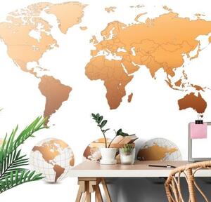 Samolepící tapeta globusy s mapou světa - 450x300 cm