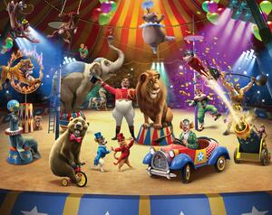 Dětská tapeta Cirkus, Walltastic, 304x243 cm