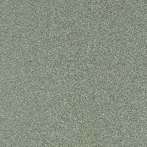 Rako Taurus Granit TAA34080 dlažba 29,8x29,8 zelená 8 mm ABS 1,27 m2