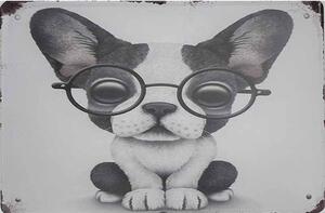 Ceduľa Dog okuliare Vintage style 30cm x 20cm Plechová tabuľa
