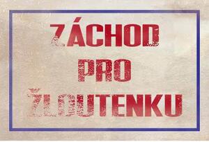 Ceduľa Záchod pro žloutenku - ceduľa 30cm x 20cm Plechová tabuľa