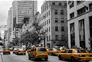 Cedule New York Taxi