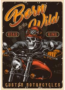TOP cedule Cedule Motorcycles - Born to be Wild