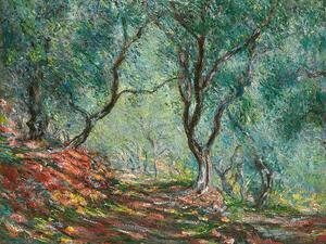 Obrazová reprodukce Olive Trees in the Moreno Garden (1884), Claude Monet