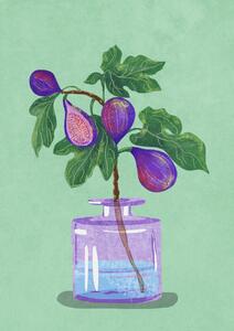 Ilustrace Figs Branch In Vase, Raissa Oltmanns, (30 x 40 cm)