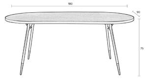 White Label Hnědý jasanový oválný jídelní stůl WLL DENISE 180 x 90 cm