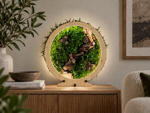 "Mechové zátiší" lampa 20x22 cm provedení povrchu: dub světlý
