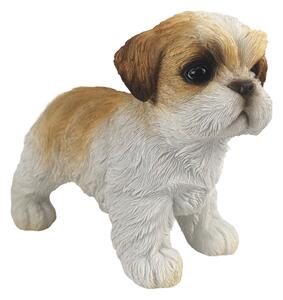Shih-tzu figurka polystone 16x12x8,5cm