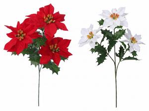 Vánoční hvězda / Poinsettia trs X3 - 53 cm mix barev samet Barva: Bílá