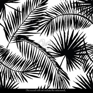 Fototapeta Černé a bílé palmové listy Samolepící 250x250cm