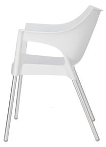 Židle Pole bílá