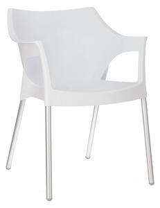 Židle Pole bílá