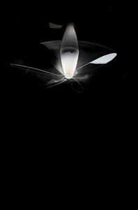 Luceplan - Blow Stropní Lampa Transparent Print E27Luceplan - Lampemesteren