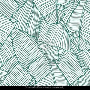 Fototapeta Ve stínu exotických tyrkysových listů Samolepící 250x250cm