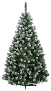 Vánoční stromek 150cm s bílými konečky Beata