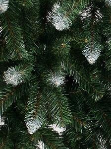Vánoční stromek smrk 150cm Konrad bílé konce