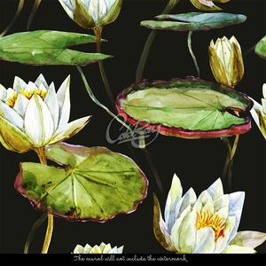 Fototapeta Úžasné lotosové květy Samolepící 250x250cm