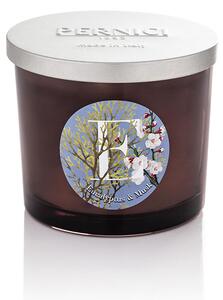 Pernici Elementi - Eucalyptus & Musk Doba hoření: 40 - 45 hodin