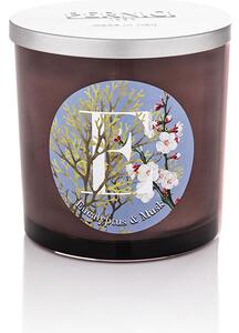 Pernici Elementi - Eucalyptus & Musk Doba hoření: 60 - 65 hodin