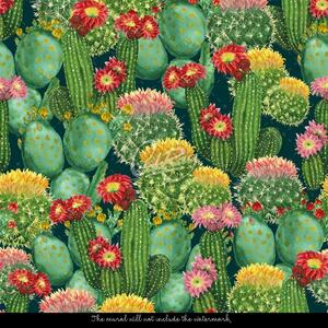 Fototapeta Skvělé kaktusy Samolepící 250x250cm