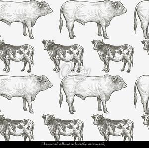 Fototapeta Zdravá kráva, zdravý býk Samolepící 250x250cm