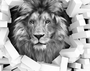 Malvis Černobílý obraz - lev Velikost: 90x60 cm