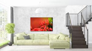 Malvis Moderní obraz Červené květy Velikost (šířka x výška): 90x60 cm