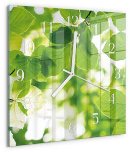Skleněné hodiny Listy zskb-30x30-00057674