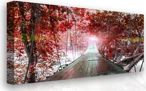 Malvis Obraz na zeď - červený ráj Velikost: 90x60 cm