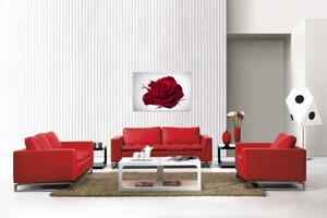 Obraz rudá růže Velikost (šířka x výška): 60x40 cm