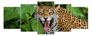 Malvis Vícedílný obraz - Jaguár Velikost: 150x60 cm