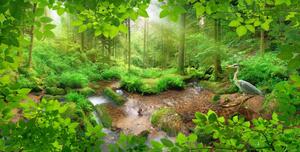 Malvis Obraz - Pohled do lesa Velikost: 80x40 cm