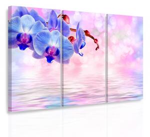 Malvis Vícedílný obraz - Modrá orchidej Velikost: 90x60 cm
