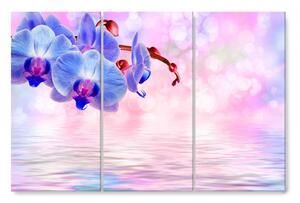 Malvis Vícedílný obraz - Modrá orchidej Velikost: 90x60 cm