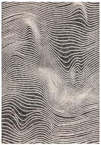 Tribeca Design Kusový koberec Arone Magnitude Black Rozměry: 160x230 cm