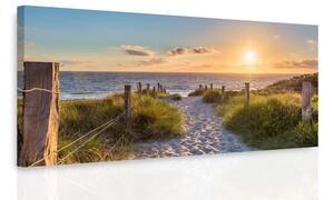 Malvis Obraz - Pěšinka na pláži Velikost: 100x50 cm