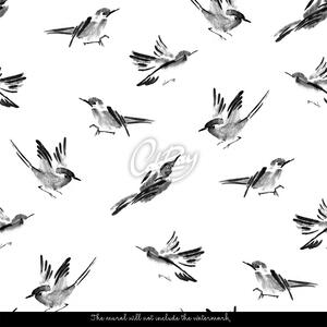 Fototapeta Létající ptáci v klíči Samolepící 250x250cm