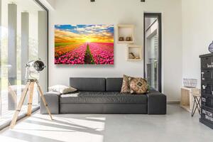 Malvis Obraz ráj tulipánů Velikost: 150x100 cm