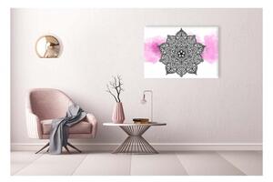 Malvis Obraz Růžová duše Velikost: 90x60 cm