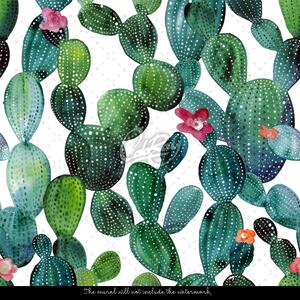 Fototapeta Květinové kaktusy Samolepící 250x250cm
