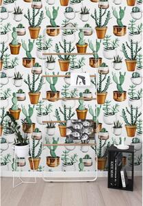 Fototapeta Kaktusy v hrnců Samolepící 250x250cm