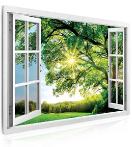 Malvis Obraz okno obrovský strom Velikost (šířka x výška): 120x80 cm