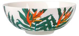 MÍSA kostní porcelán (bone china) keramika 16 cm Maxwell & Williams - Kolekce nádobí