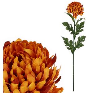 Autronic Chryzantéma velkokvětá, jednohlavá, barva tmavě oranžová KU4345