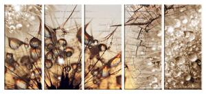 Malvis Obraz jantarová příroda Velikost (šířka x výška): 100x50 cm