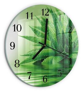 Skleněné nástěnné hodiny Aloe zsoc-fi30-00175455