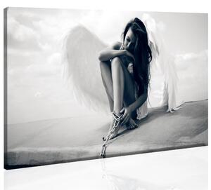 Malvis Spoutaný anděl Velikost: 60x30 cm