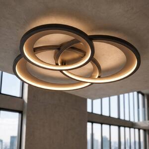 Trio Lighting LED stropní světlo Granada, černá matná/zlatá, stmívatelný, Černá, Obývací pokoj / jídelna, kov, Moderní