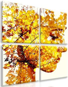 Malvis Obraz na stěnu Pohled podzimu Velikost: 60x60 cm